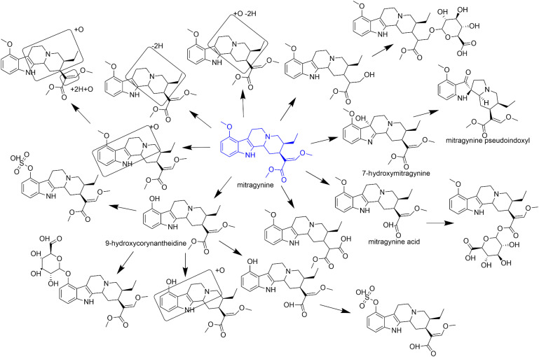 Fig. 2.