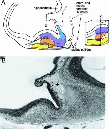 Fig. 9