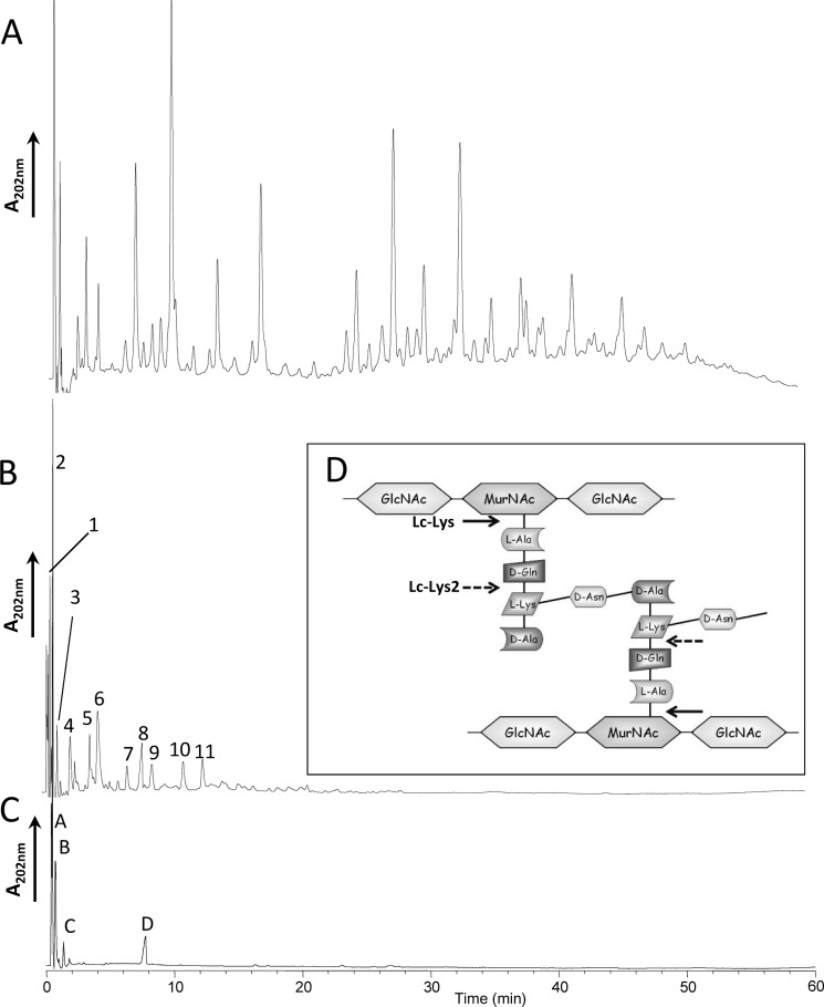 FIGURE 3.