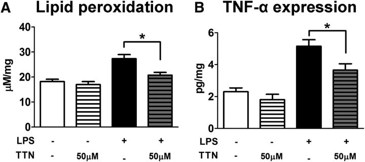 Figure 9.