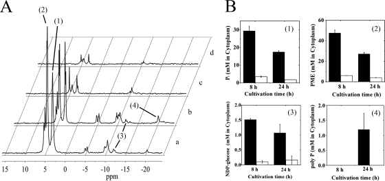 FIG. 3.