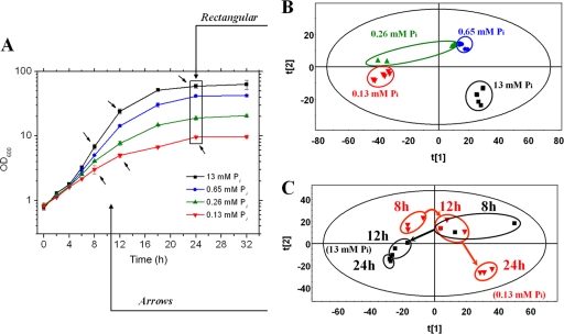 FIG. 1.