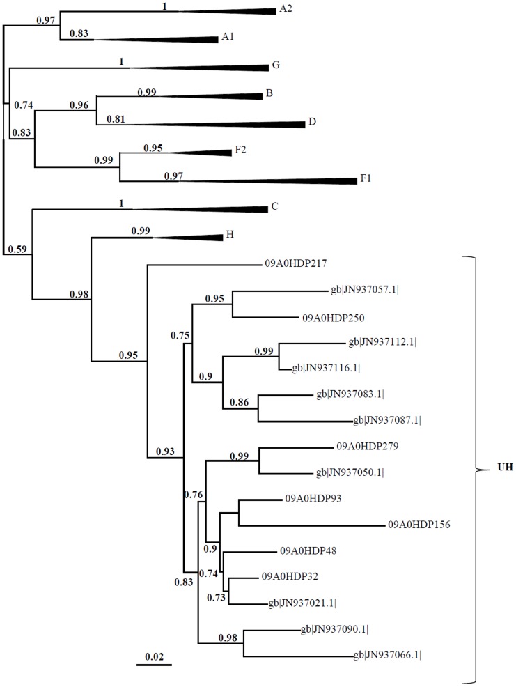 Figure 2