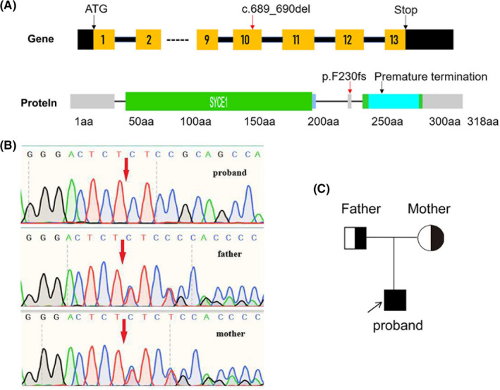 FIGURE 2