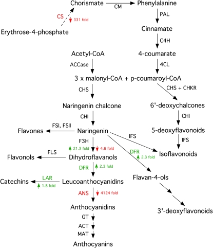 Figure 12.