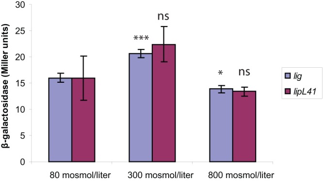 Fig 5