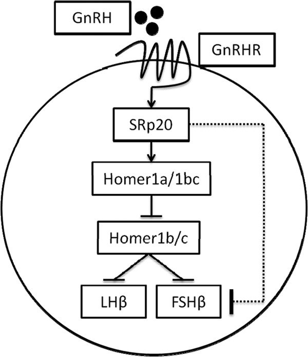 FIG 7