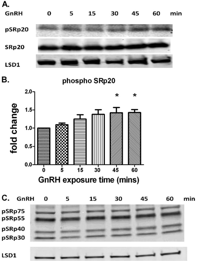 FIG 3