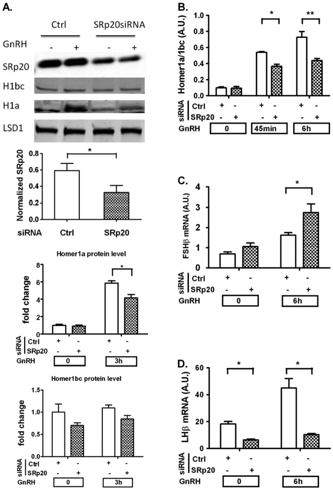 FIG 4