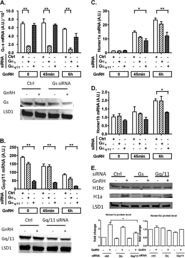 FIG 2