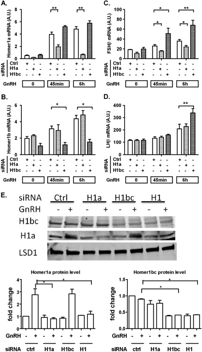 FIG 6