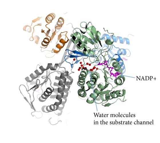 Figure 7