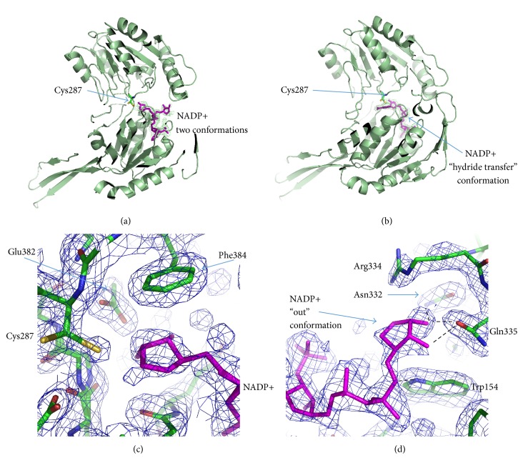 Figure 5