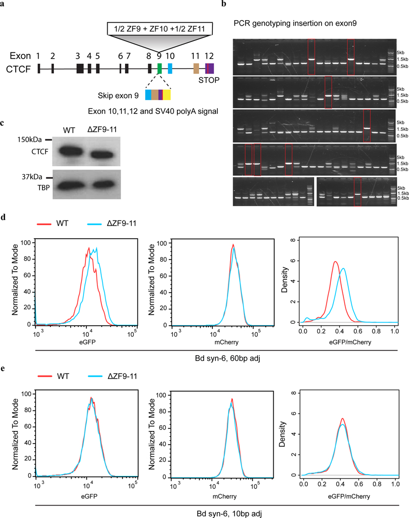 Extended Data Fig. 5.