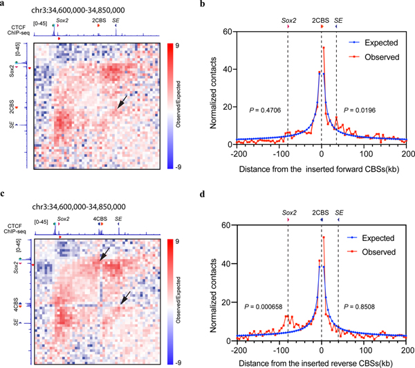 Extended Data Fig. 6.