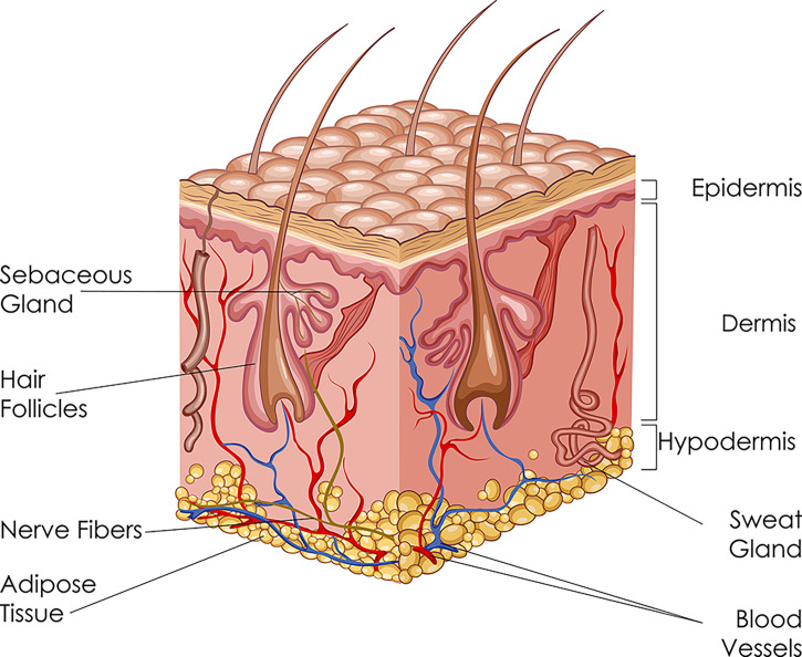 Figure 2