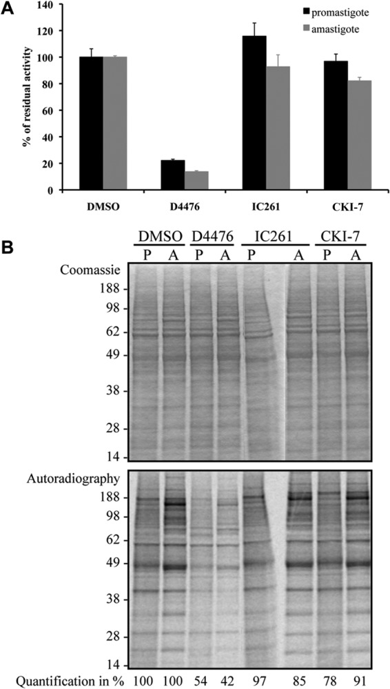 FIG 5