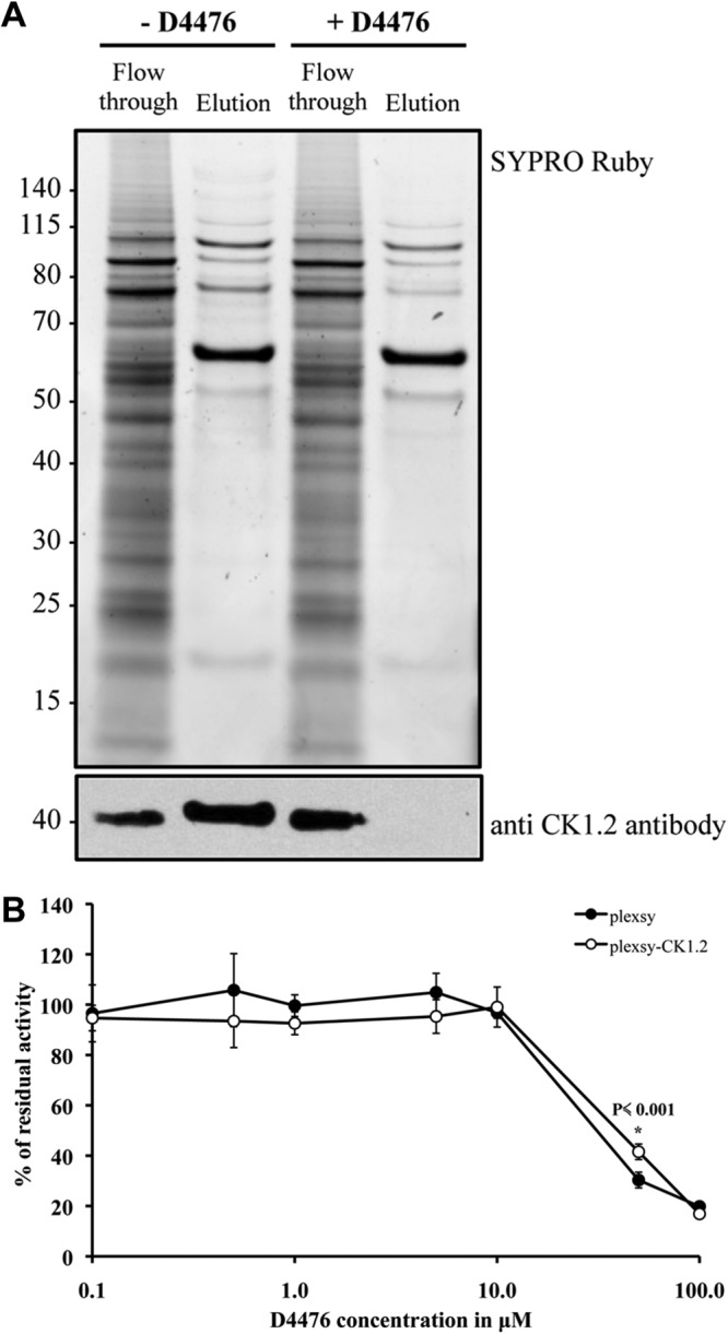 FIG 7