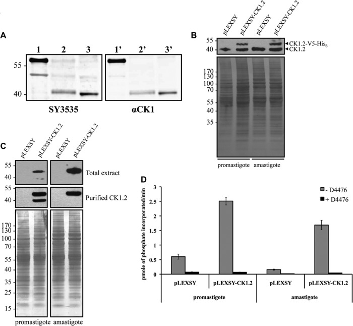 FIG 4