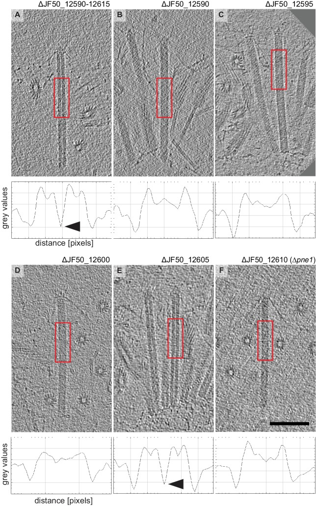 Figure 1—figure supplement 3.