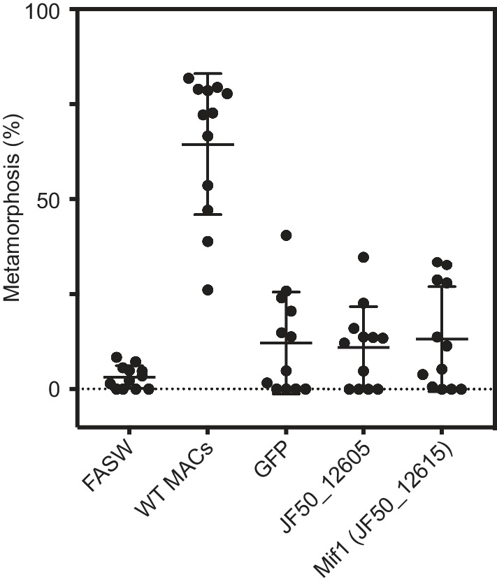 Figure 4—figure supplement 1.