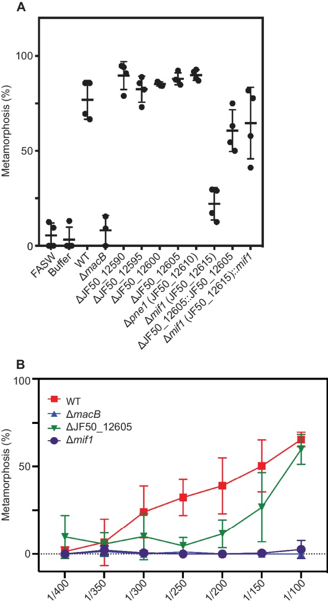 Figure 1—figure supplement 1.