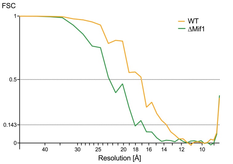 Figure 2—figure supplement 1.