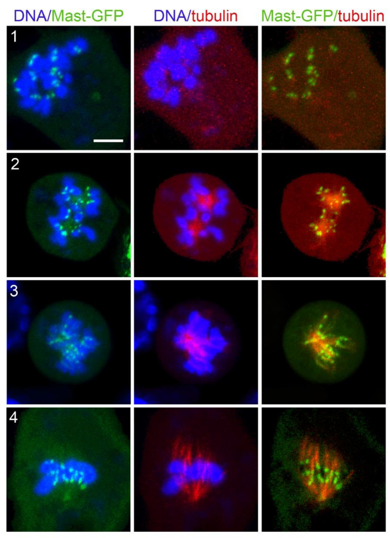 Figure 10