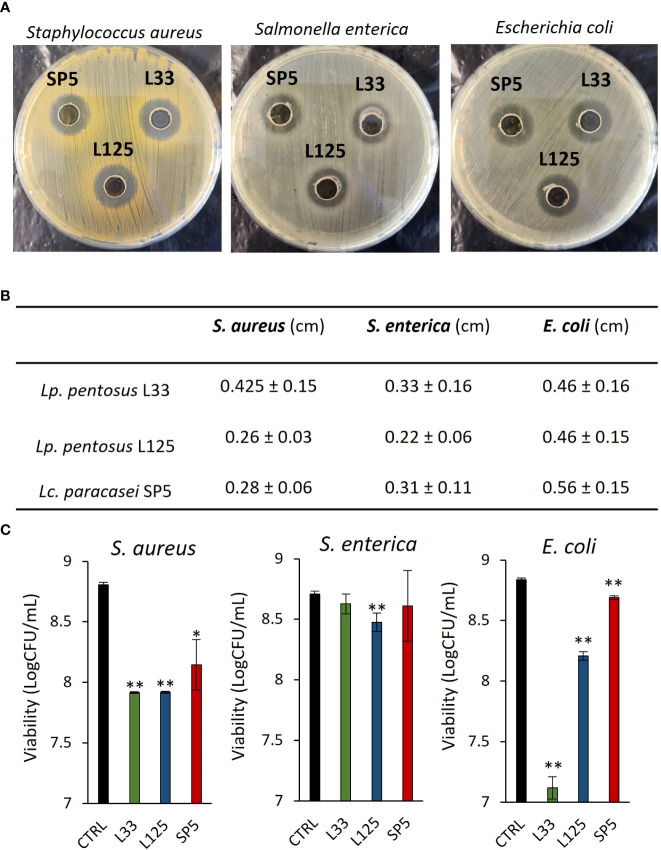 Figure 1