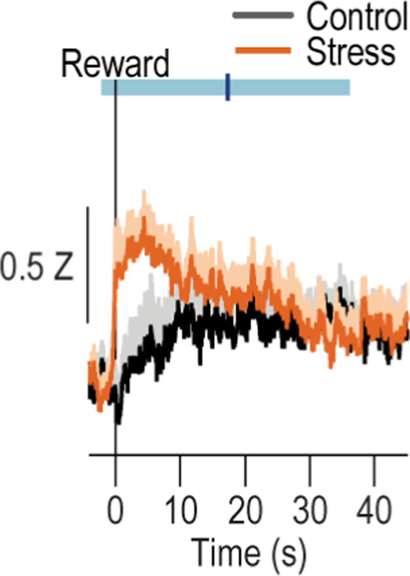 Extended Data Figure 2-3: