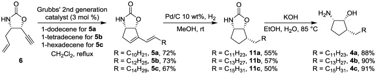 Scheme 3