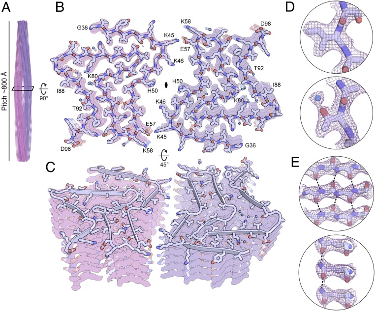 Fig. 2.