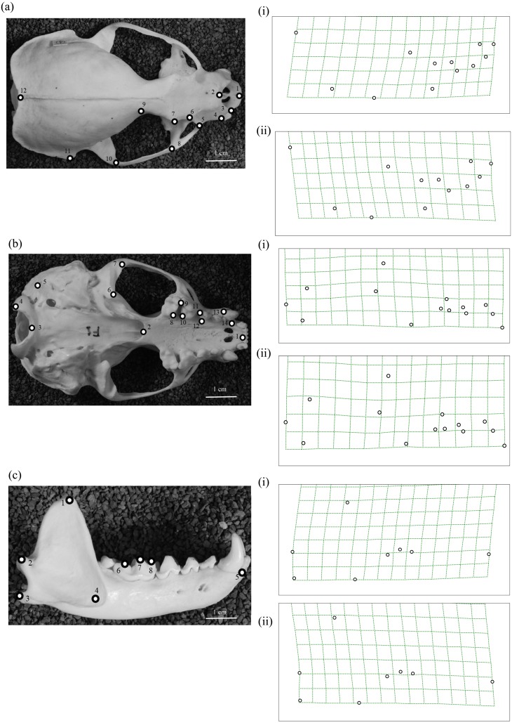 Fig. 5.