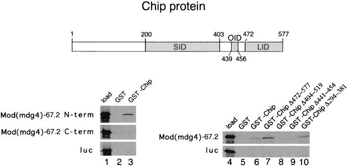 FIG. 5