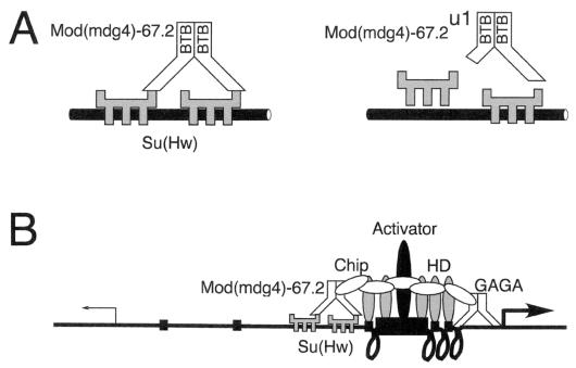 FIG. 6