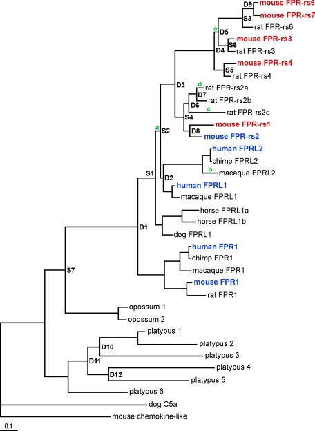 Fig. 4.