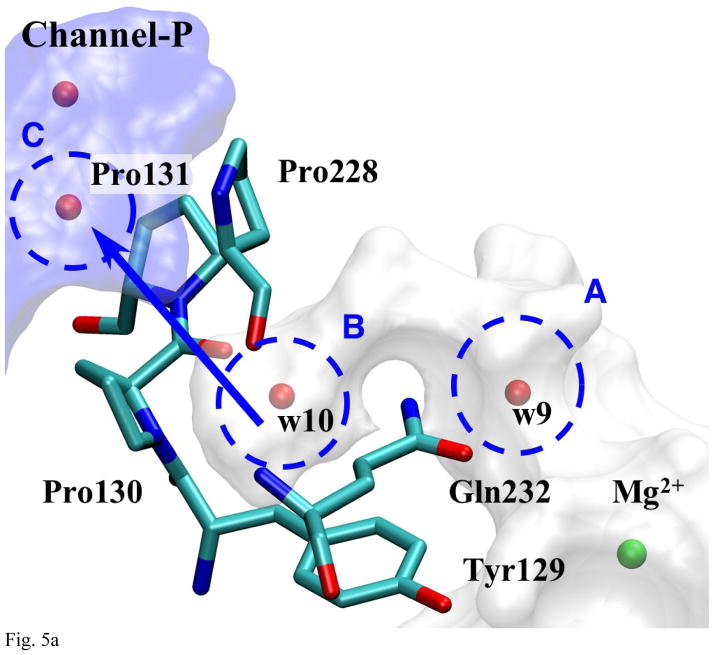 Fig 5