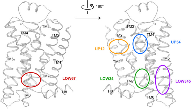 Fig. 9