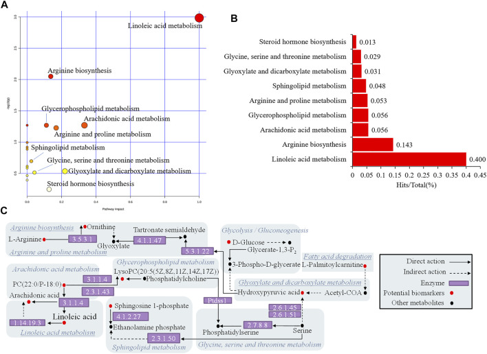 FIGURE 6