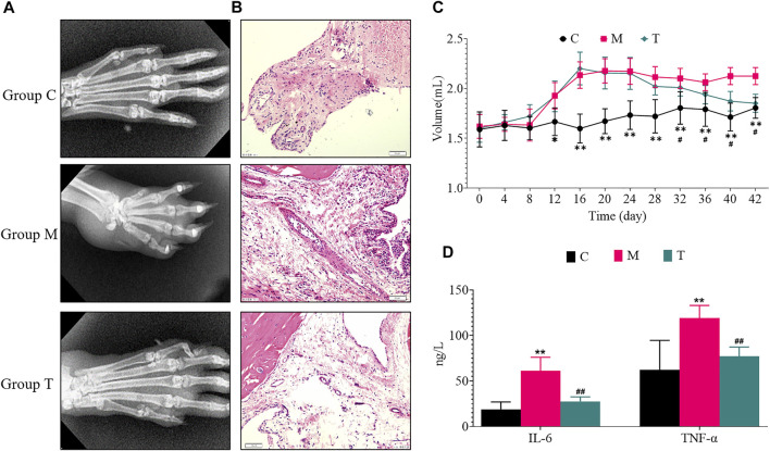 FIGURE 2