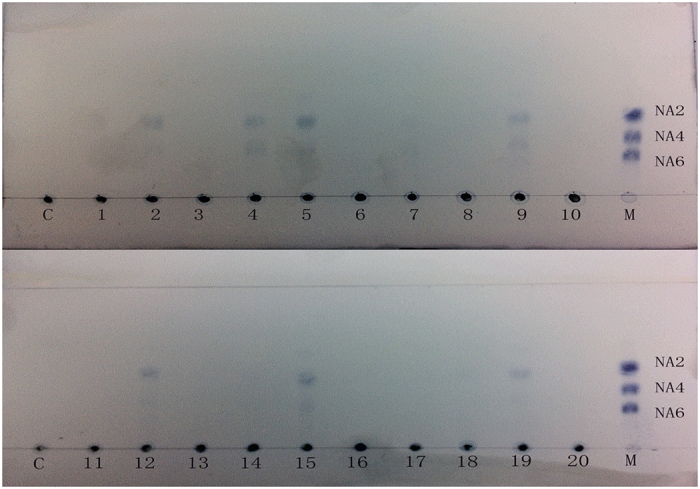 Figure 6