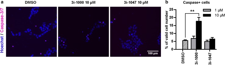 Fig. 9