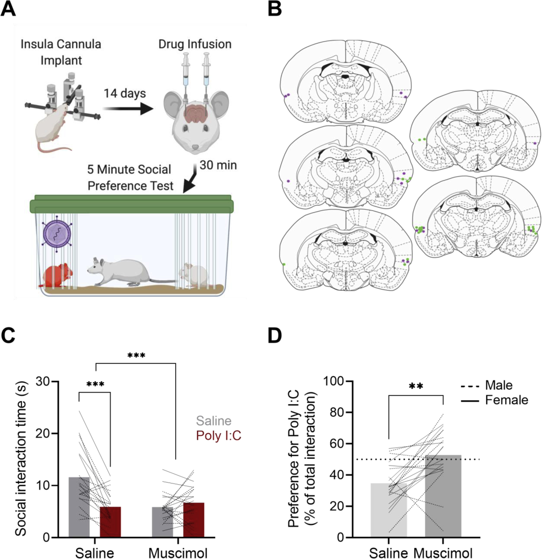 Figure 2: