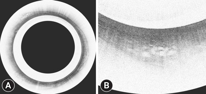 Fig. 3.