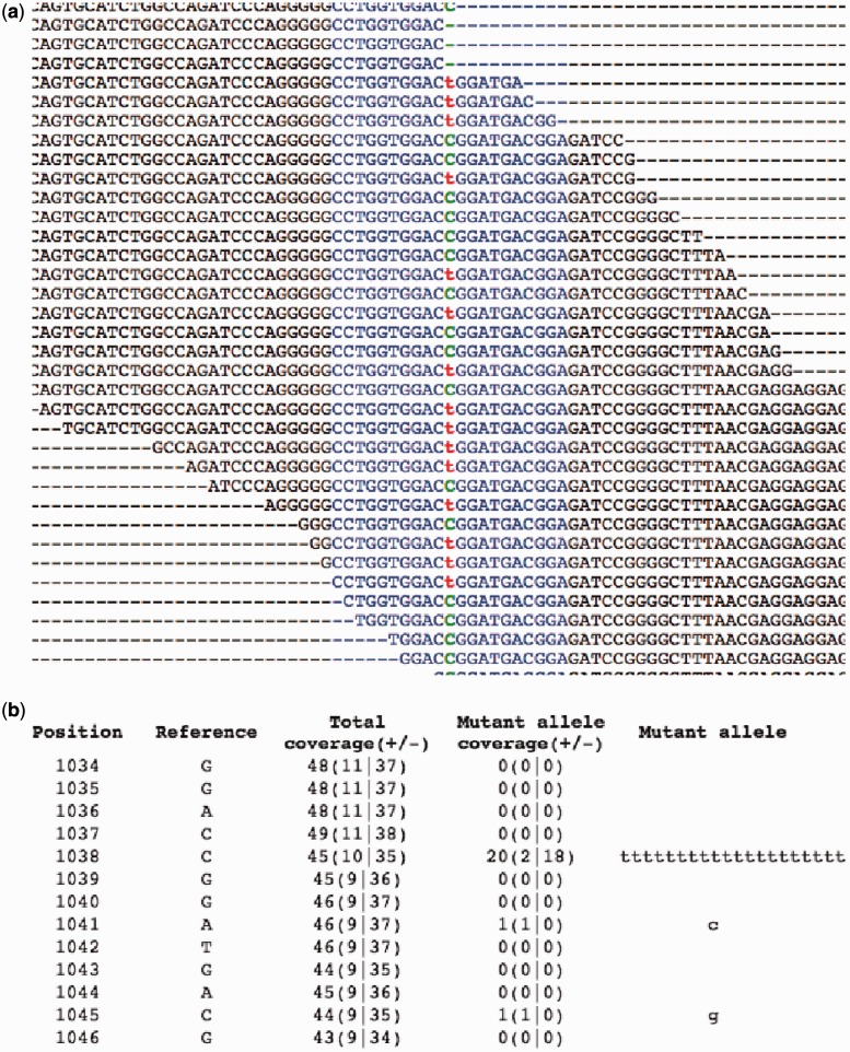 Figure 5.