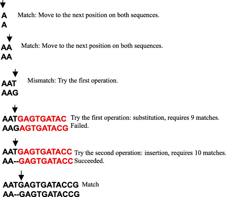 Magic-BLAST, an accurate RNA-seq aligner for long and short reads - PMC