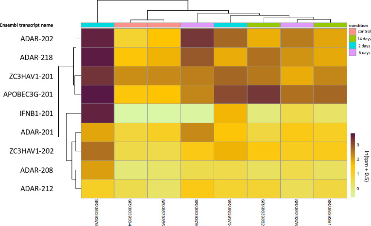 Fig 3