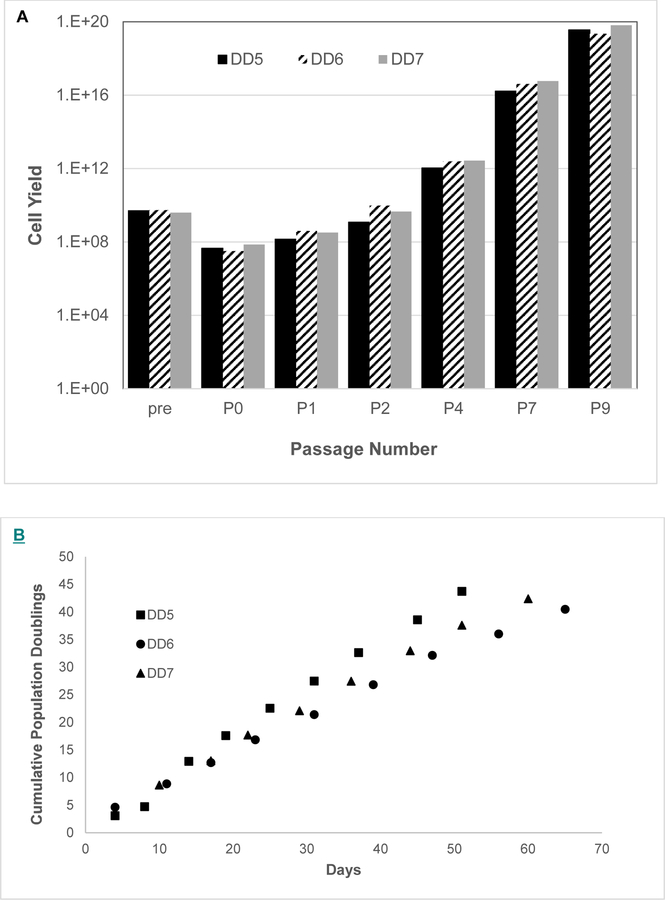 Figure 7.