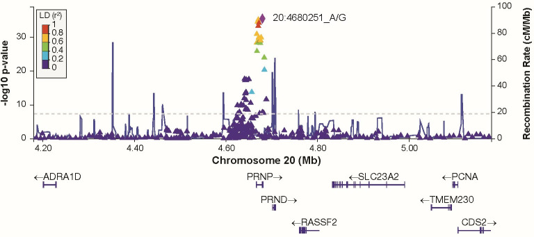 Fig 6