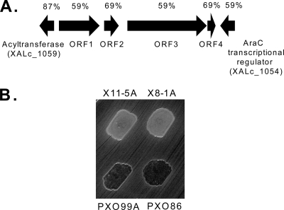 Fig. 5.